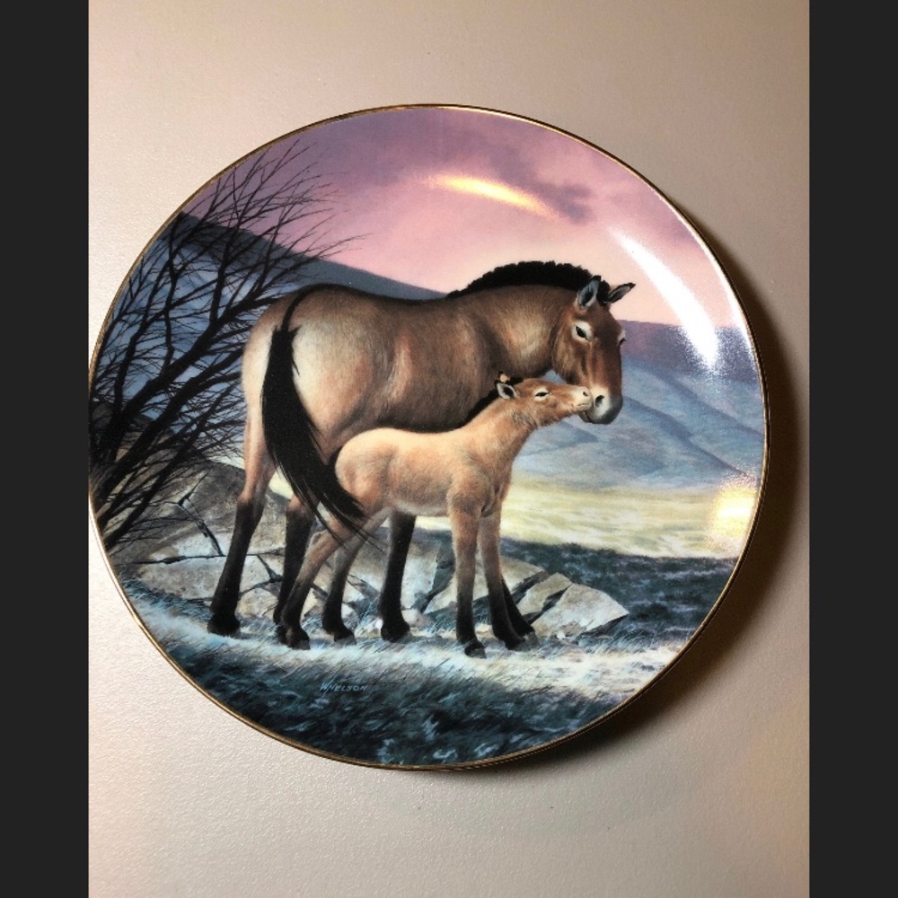 Przewalski’s Horse Bradford Exchange Plate - Picture 3 of 7